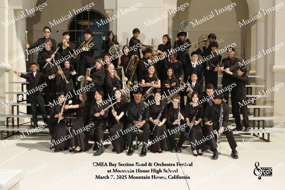 Musical Images